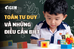 Toán Tư Duy Là Gì Mà Ngày Càng Nhiều Phụ Huynh Cho Con Học?